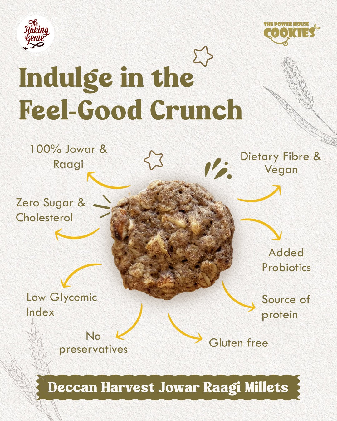 Deccan Harvest Jowar Raagi Millets Cookies | 200g